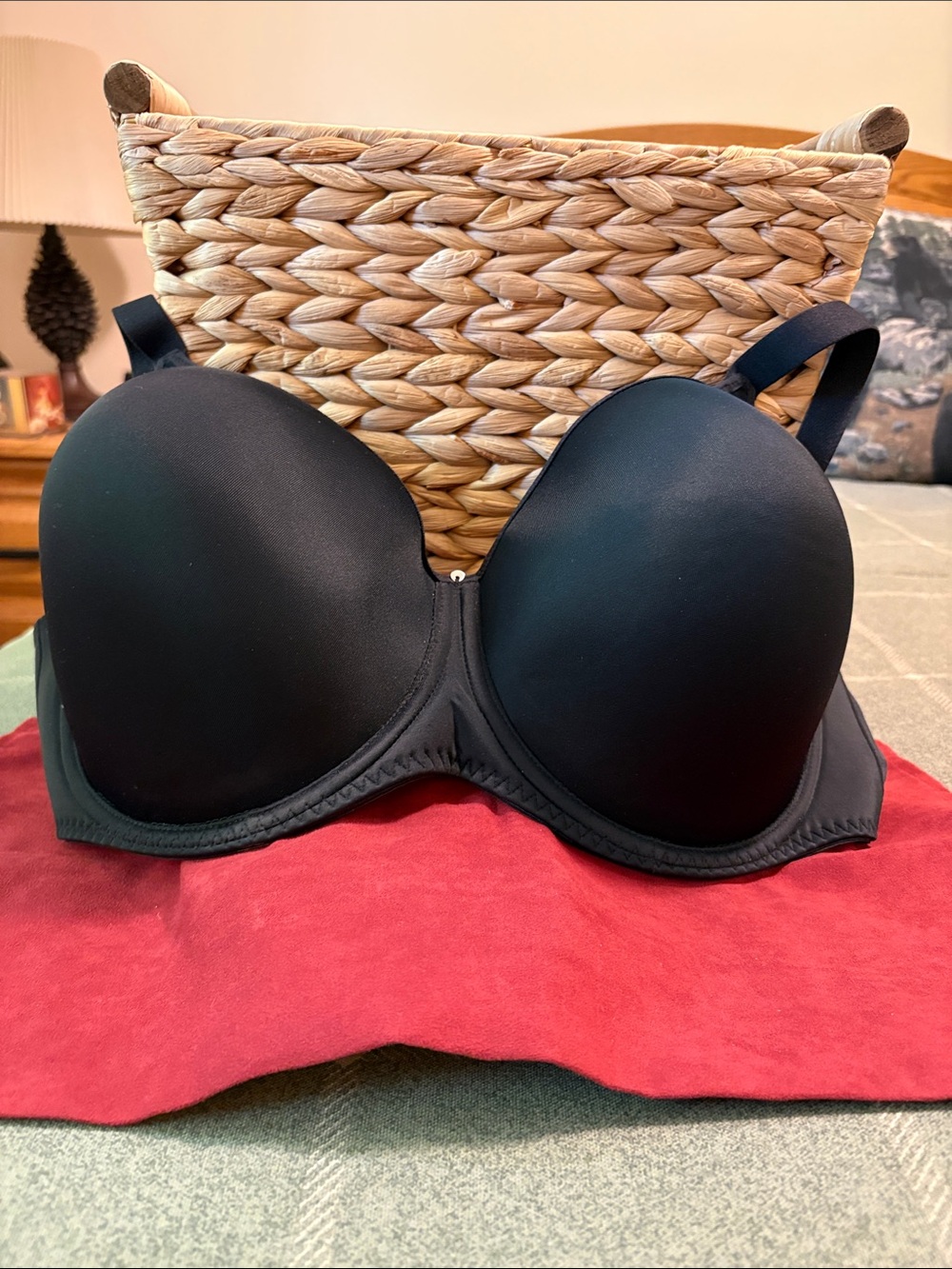 Black Fantasie Bra - Women's Smooth Seamless Bra 40DDD